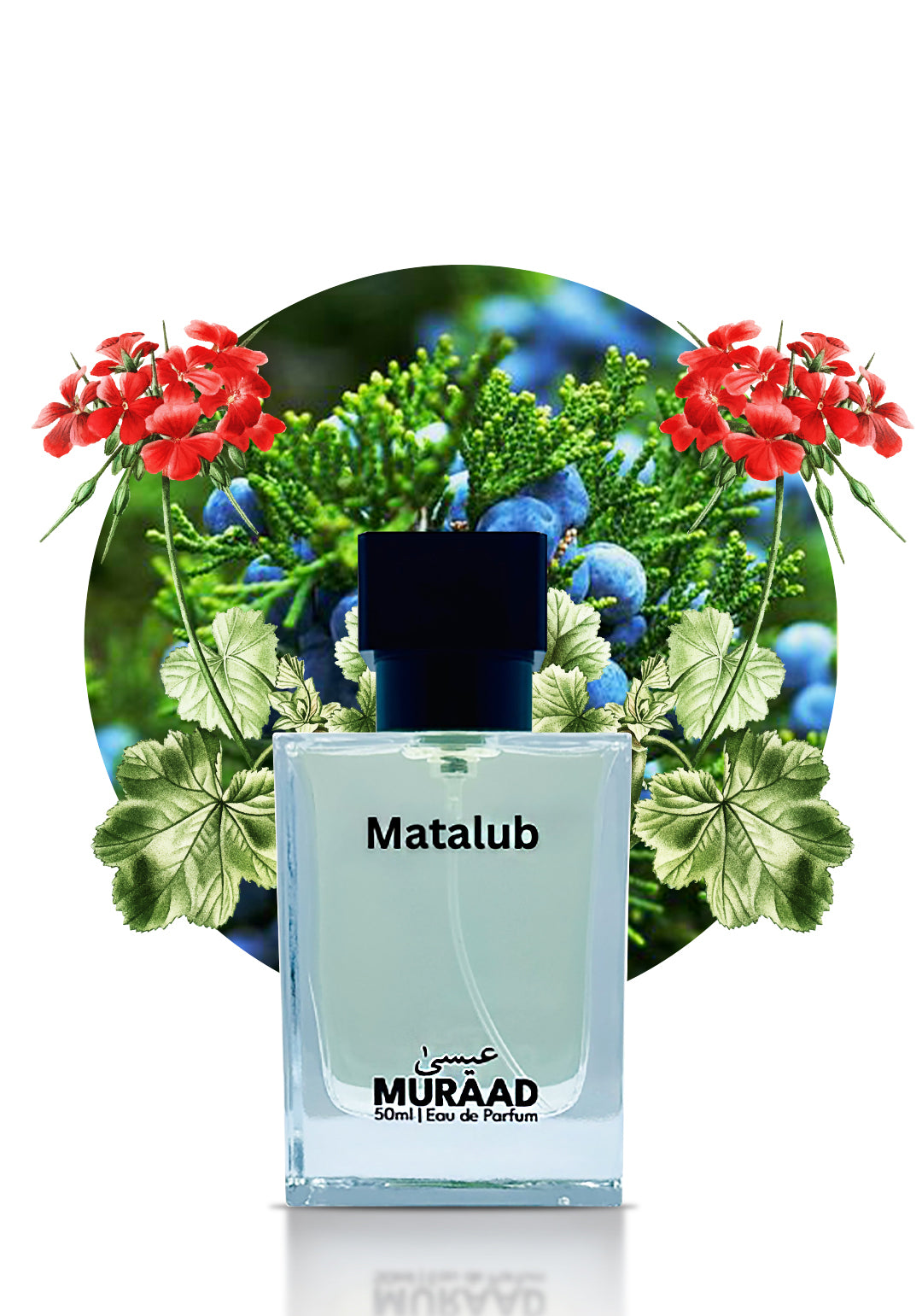 Matalub – Inspired by Wanted Azzaro