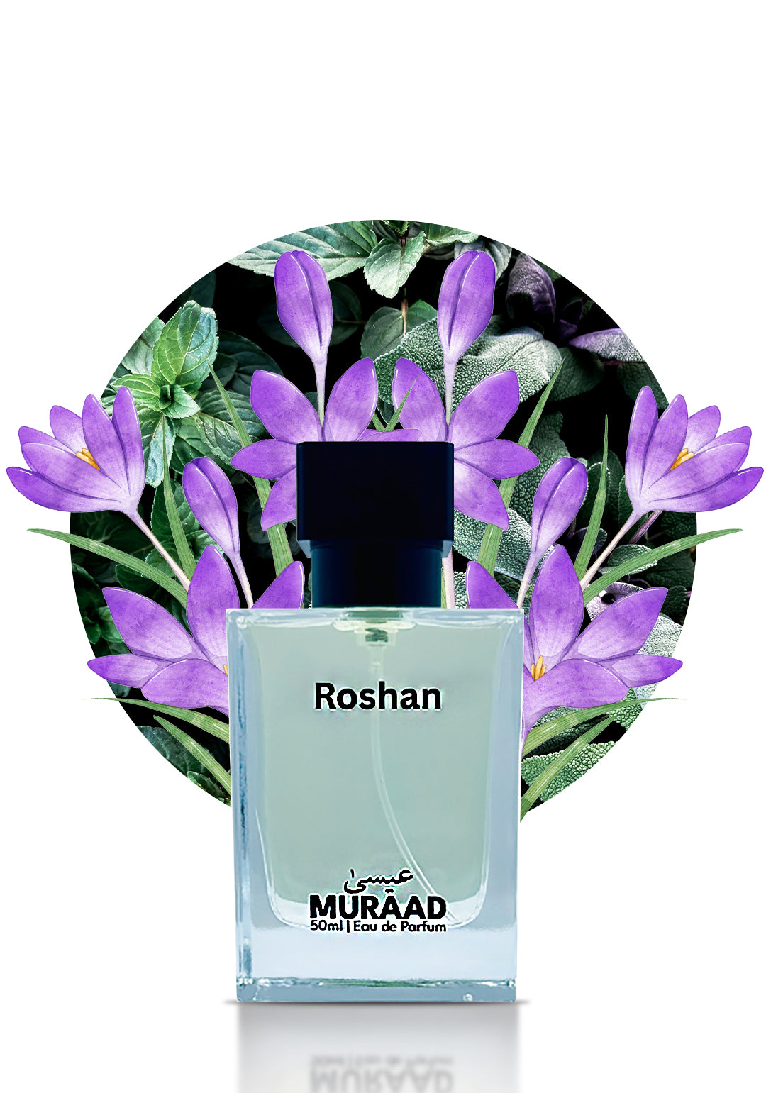 Roshan – Inspired by Polo Red