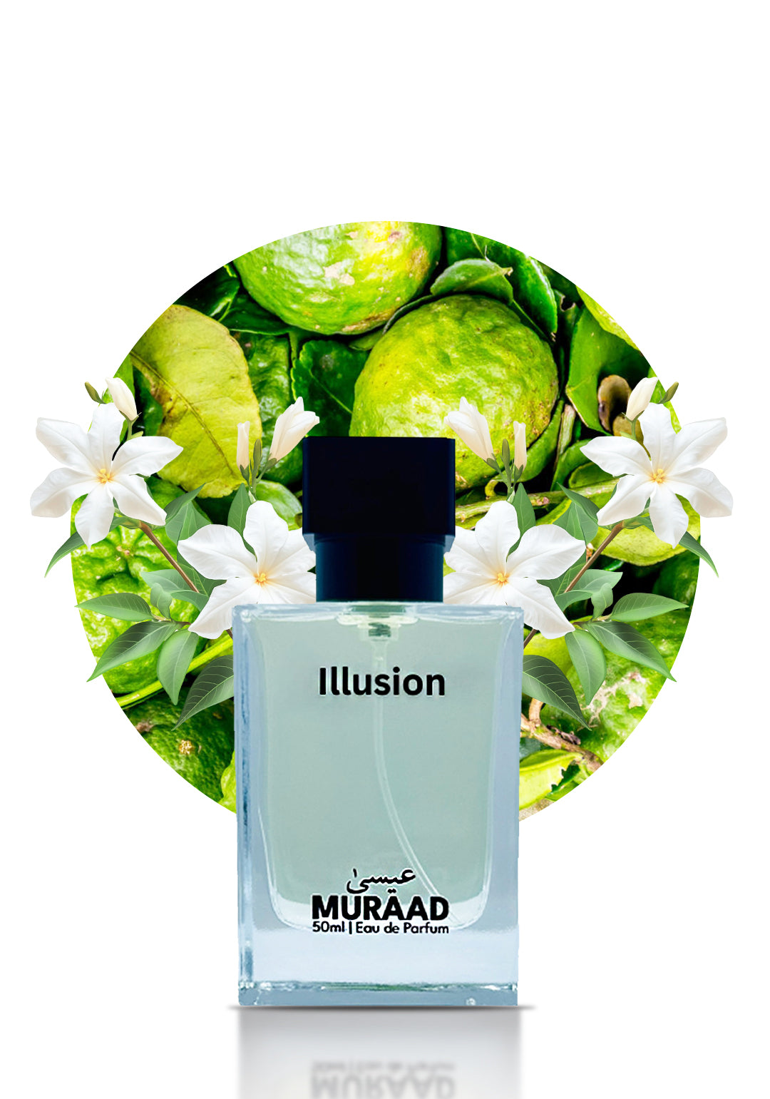 Illusion – Inspired by Imagination