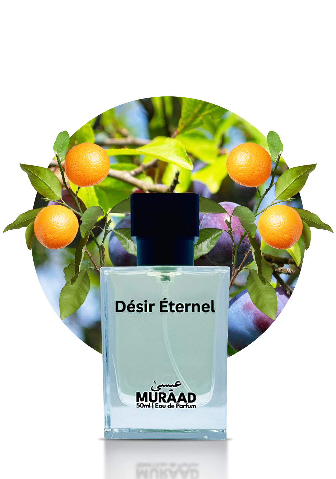 Désir Éternel – Inspired by Hawas