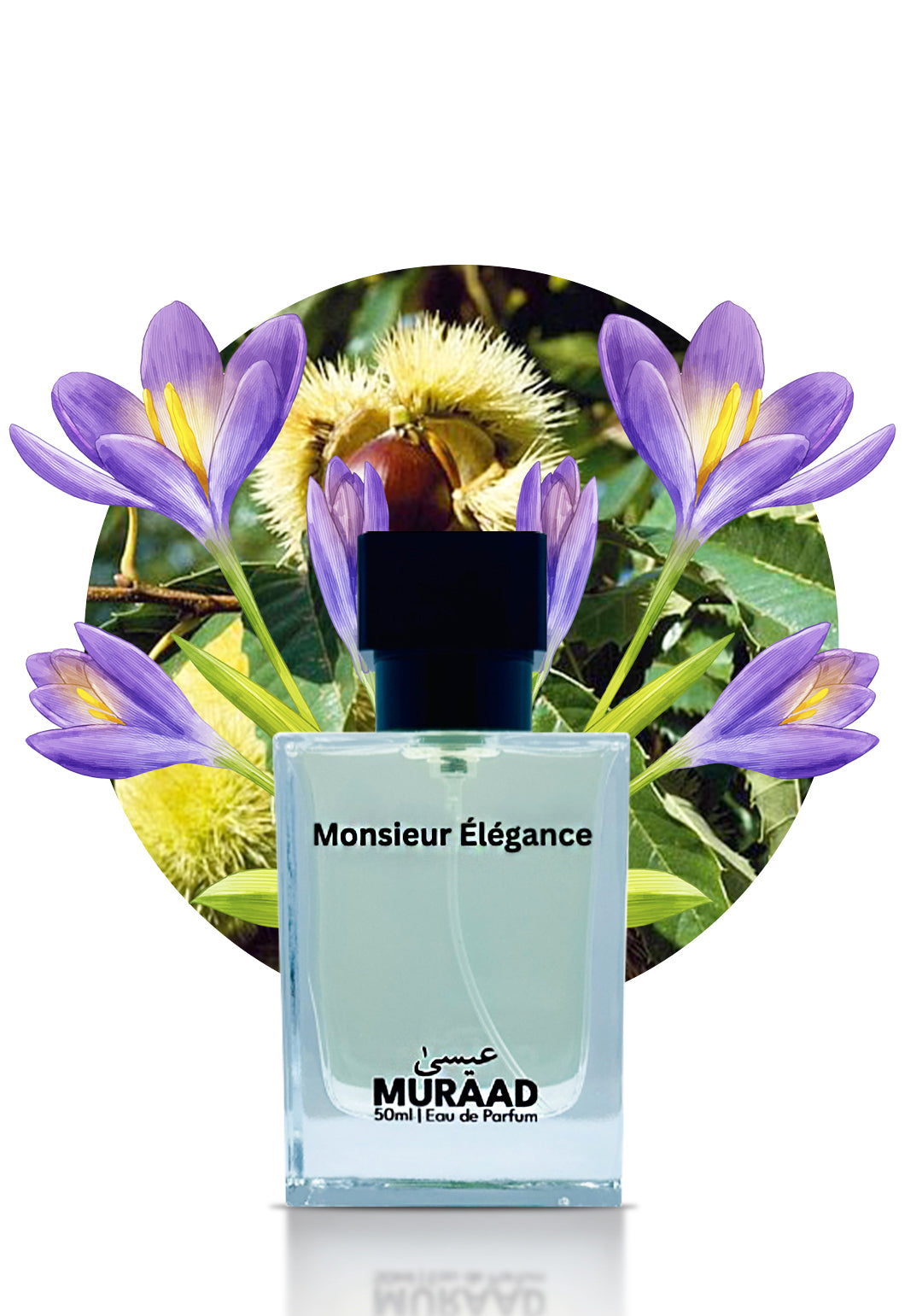 Monsieur Élégance – Inspired by Gentleman