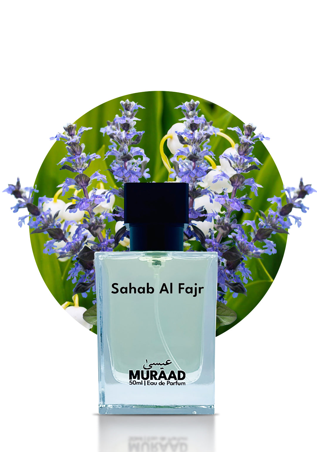 Sahab Al Fajr – Inspired by Janan Sports