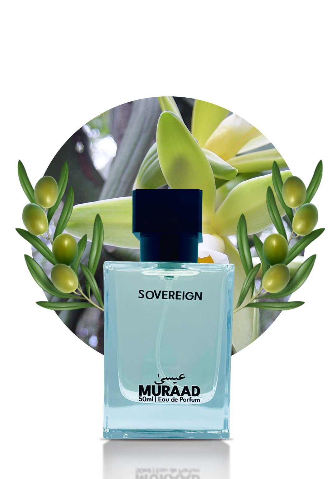 Sovereign – Inspired by Hugo Boss